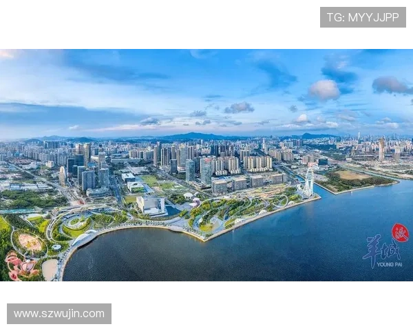 深圳企业家创新驱动引领湾区高质量发展新篇章打造全球竞争力示范 深圳企业家创新驱动引领湾区高质量发展新篇章打造全球竞争力示范